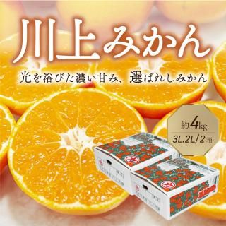 ͽʡ嶦 ߤ 3L~2L 4kg 2Ȣ ŷռޡӡ