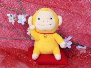 猿さん専用品 71VyDTwzBQL._UF350,350_QL50_.jpg
