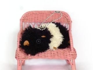 ぶた - シナダオンラインショップ