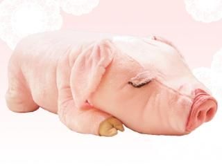 幸福のぶた - シナダオンラインショップ