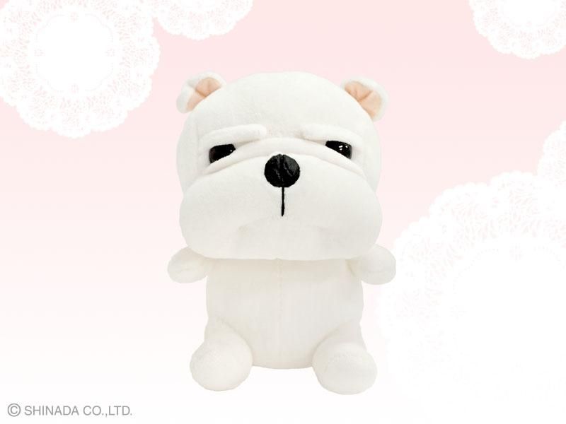 NIWA EELS STORE | Bitfan Store