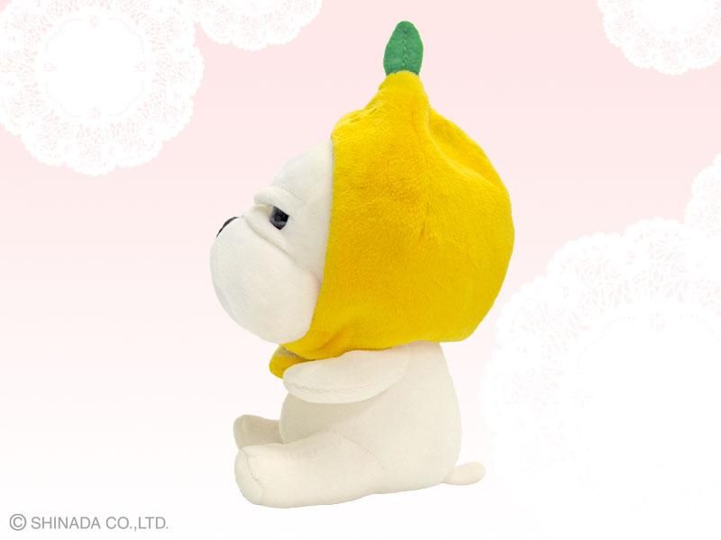 NIWA EELS STORE | Bitfan Store
