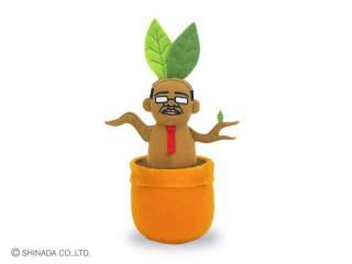 商品検索 - シナダオンラインショップ