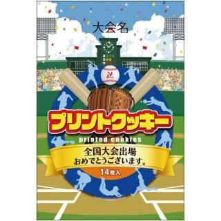 <img class='new_mark_img1' src='https://img.shop-pro.jp/img/new/icons1.gif' style='border:none;display:inline;margin:0px;padding:0px;width:auto;' />ǰץȥå33󥰥꡼긢񡦲ơ2025ۡ