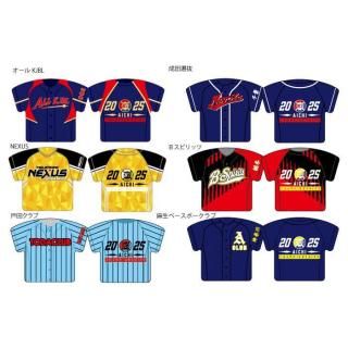 オールジャパンべースボールポロシャツ DESCENTE 野球 2ボタンベースボールシャツ -デサントストア