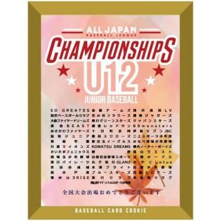 <img class='new_mark_img1' src='https://img.shop-pro.jp/img/new/icons1.gif' style='border:none;display:inline;margin:0px;padding:0px;width:auto;' />ǰ󥰥åڥ른ѥ١ܡ꡼2025ۡ