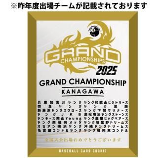 <img class='new_mark_img1' src='https://img.shop-pro.jp/img/new/icons1.gif' style='border:none;display:inline;margin:0px;padding:0px;width:auto;' />ǰ󥰥å2025ɥԥۡ