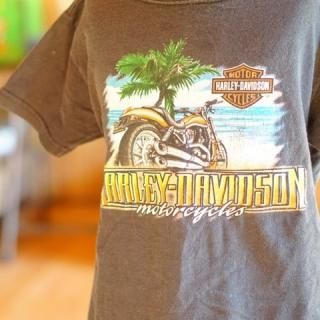 ơϡ졼ӥåɥ󥭥åT