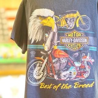 ơϡ졼ӥåɥ󥭥åTUSA