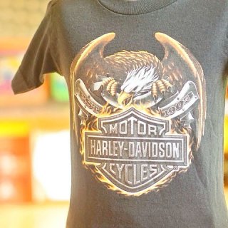 ơϡ졼ӥåɥ󥭥åT