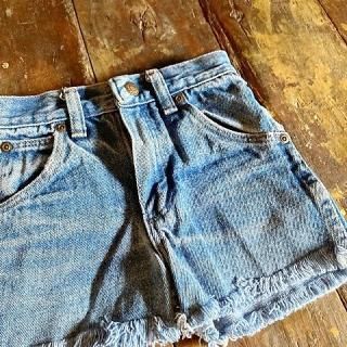 ơWrangleråǥ˥ॷ硼ȥѥUSA