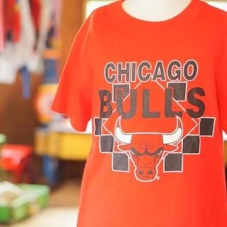 ơCHICAGO BULLSåTUSA