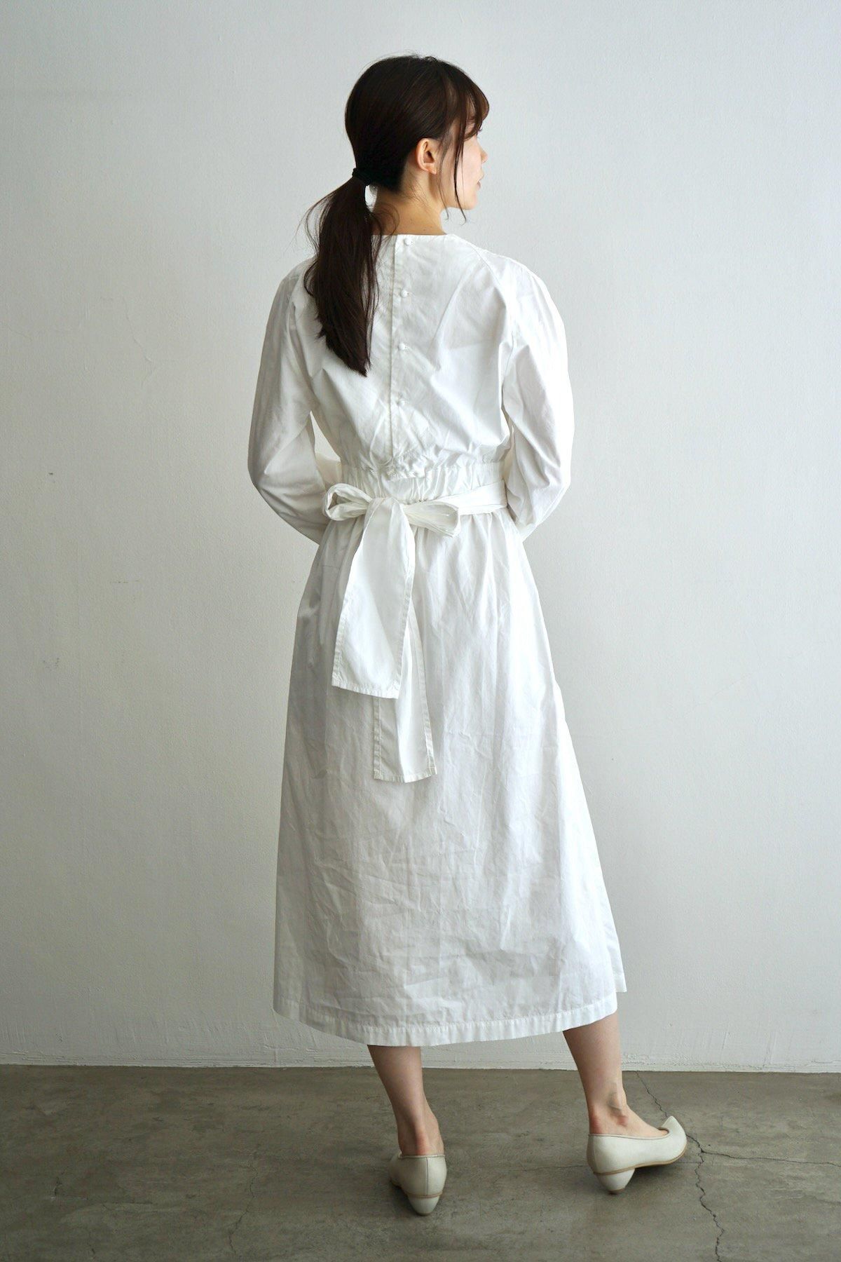 希少】The dress attachable a wallコズミックワンダー