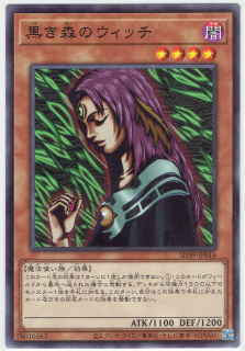 SD39-JP016ڥΡޥۡΥå