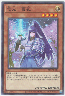 SD39-JP019ڥΡޥۡŸ--