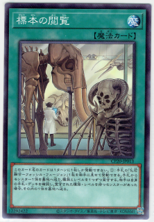 CP20-JP013ڥΡޥ  ɸܤα