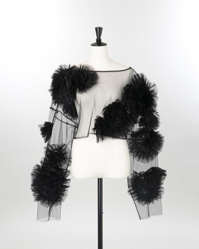 Decorative long sleeve cropped p/o