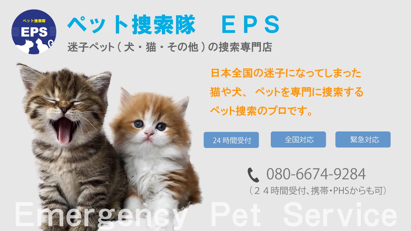 ペット探偵　迷子ペット（犬・猫・他）の捜索専門店 ペット捜索隊EPS