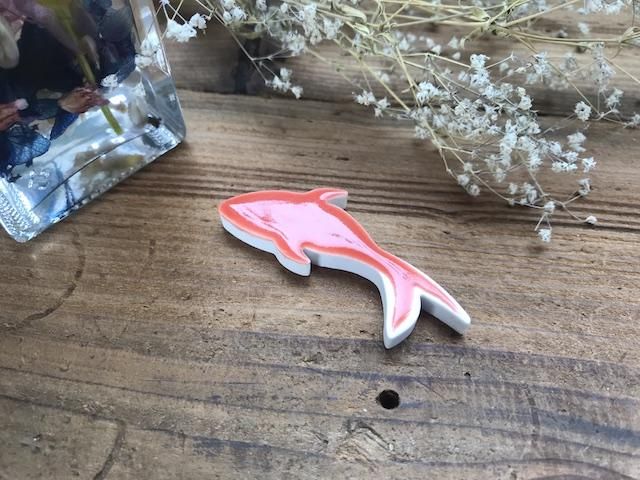 ꡪȤ sazendo ꥸʥ koaka