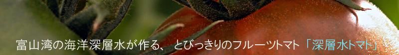 ؿȥޥȤ(ͭ)Ҥե