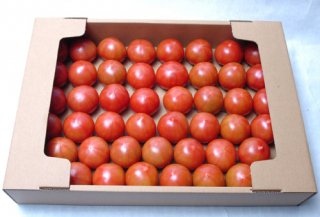 深層水トマト3�箱