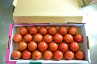 深層水トマト秀品2キロ箱
