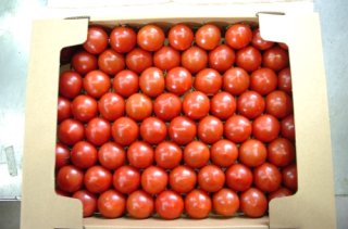お買い得深層水トマトS玉優品3キロ箱