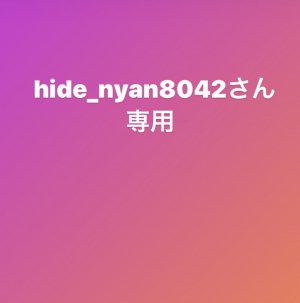 hide_nyan8042