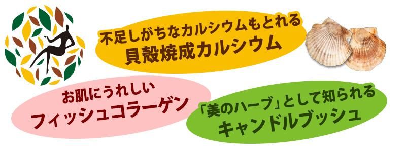 不足しがちなカルシウムもとれる「貝殻焼成カルシウム」 お肌にうれしい「フィッシュコラーゲン」“美のハーブ”として知られる「キャンドルブッシュ」