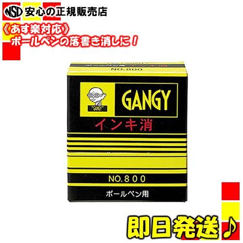 即日出荷 落書き落としに困ったらコレ ガンヂー ガンジー ボールペン消し No 800 株式会社南信堂本店