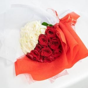 [ROSEGIFT] åӥ󥳥 Хβ«  20 