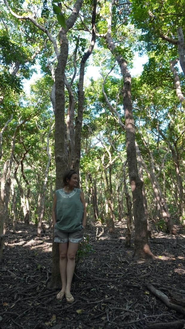 W gauze Easy Shorts Junglegreen x Pistachio