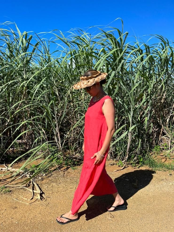 French Linen Back open op Bougainvillea
