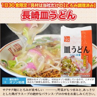 【一日限定30個】長崎名産 冷凍皿うどん