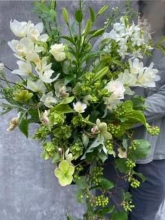 white Cymbidium