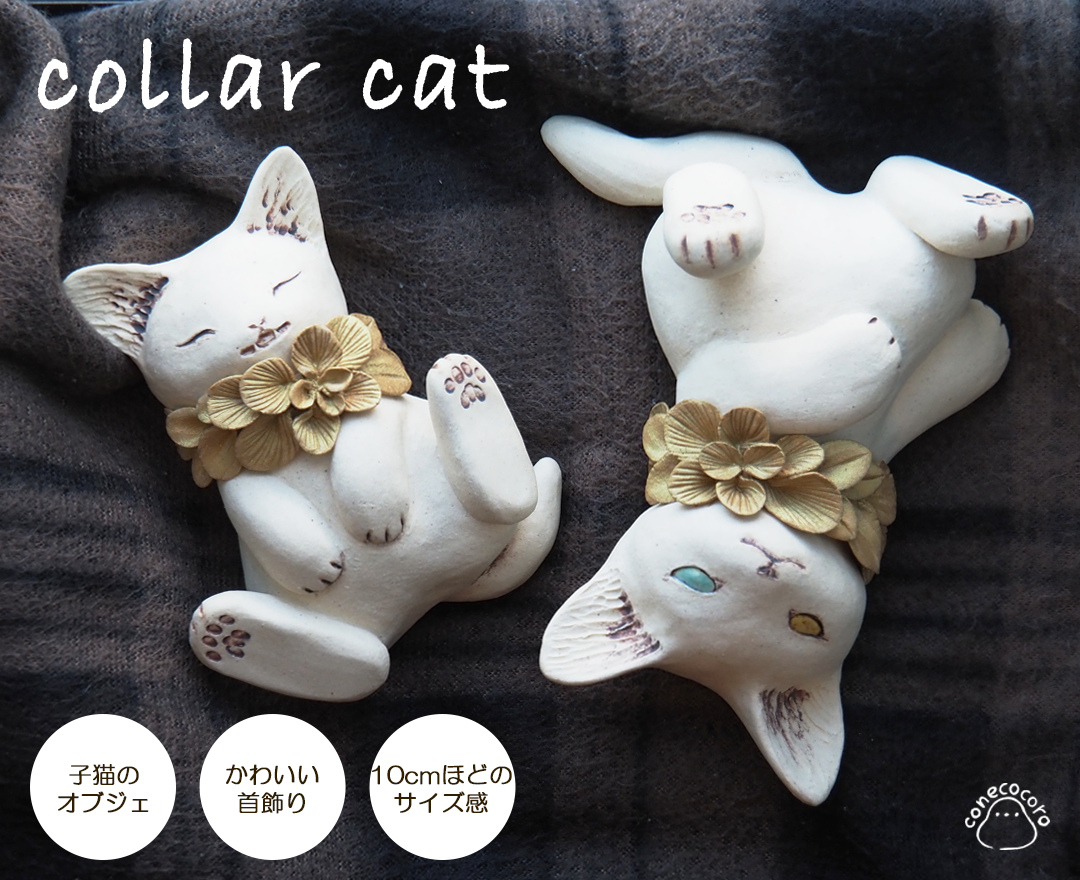collarcat᡼
