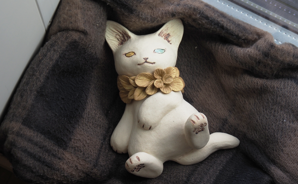 collarcat