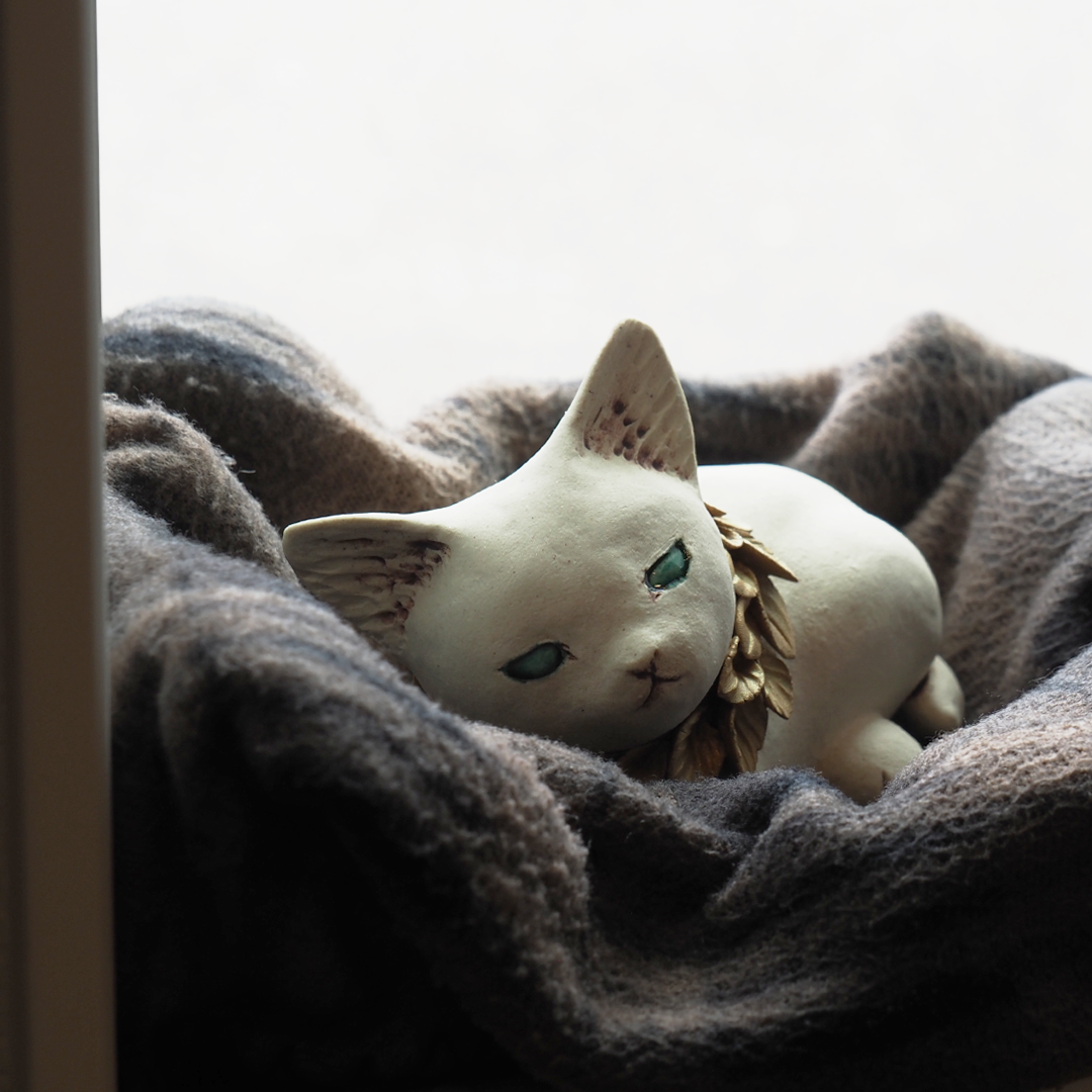 collarcat08