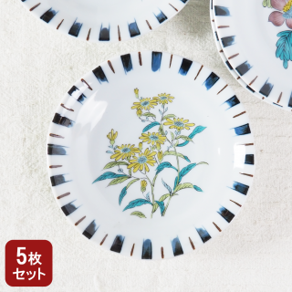4.5滮·13.5cmˡֳѤꡡ5祻å