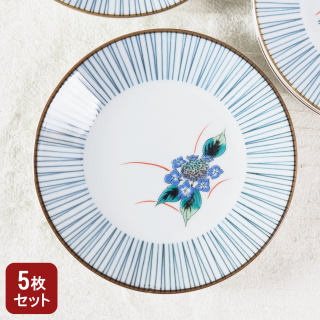 5.2滮·16.2cmˡ֡5祻å