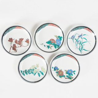 5.5滮·16.5cmˡֳѤꡡ5祻å