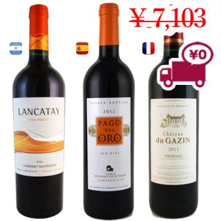  送料無料 SPECIAL PRICE<br>【 3 Red wines】<br>アルゼンチン(メンドゥーサ)、イタリア(ヴェネツィア)、スペイン(ガリシア州)から3品種の赤ワイン
