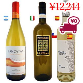  送料無料 SPECIAL PRICE<br>【 3 White Wines】 <Br>スペイン(トロ)、アルゼンチン(メンドゥーサ)、フランス(ボルドー)から3品種の赤ワイン