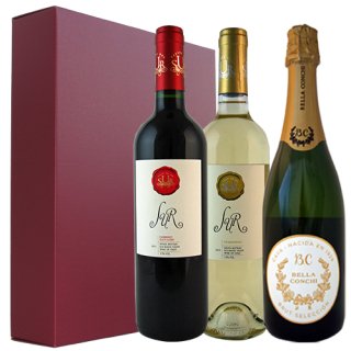 【ワインギフト】<br>赤＆白ワイン＆シャンパン 3本セット<br>チリ マウレ・ヴァレー　スペインカタルーニャ カヴァ<br>本州・四国送料無料 ギフト3本箱入