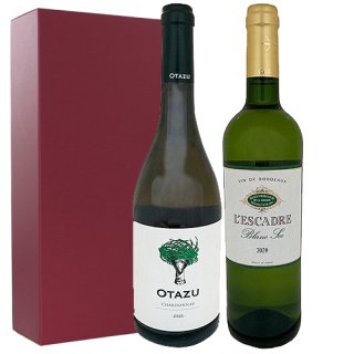 【ワインギフト】<br>フランスとスペインの2つの優れた白ワイン<br>2 superior white wines from France
and Spain.<br>本州・四国送料無料