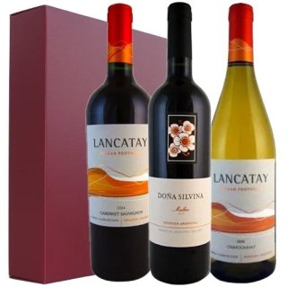 ڥ磻󥮥եȡ 를3Ĥΰ磻<br>Three much loved wines from
Argentina<br>ܽ͹̵