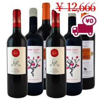  ̵ SPECIAL PRICE<br> 6 Red Wines <Br>ڥ(ȥʥС)(ޥ)3ʼ2ܷ6ܥå