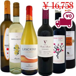  ̵ SPECIAL PRICE<br> 6 Red & White Wines <Br>ڥ(ꥷ)를(ɡ)6ʼ1ܷ6ܥå