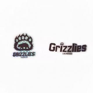 <img class='new_mark_img1' src='https://img.shop-pro.jp/img/new/icons1.gif' style='border:none;display:inline;margin:0px;padding:0px;width:auto;' />ڸGrizzlies ƥå