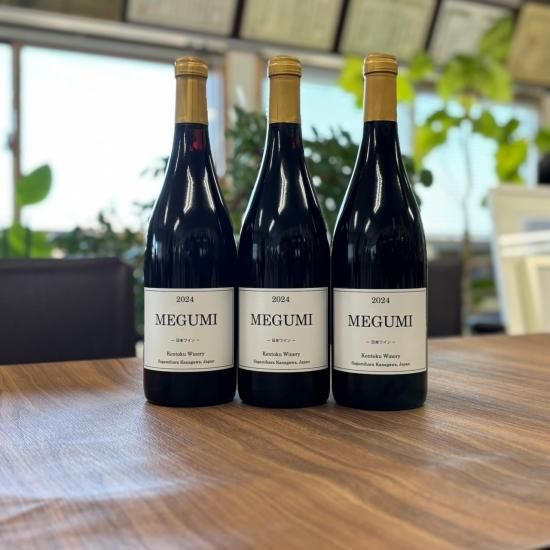 けんさま専用 2本目 改訂4版 メンタルヘルス・マネジメント®検定試験Ⅱ種(ラインケア